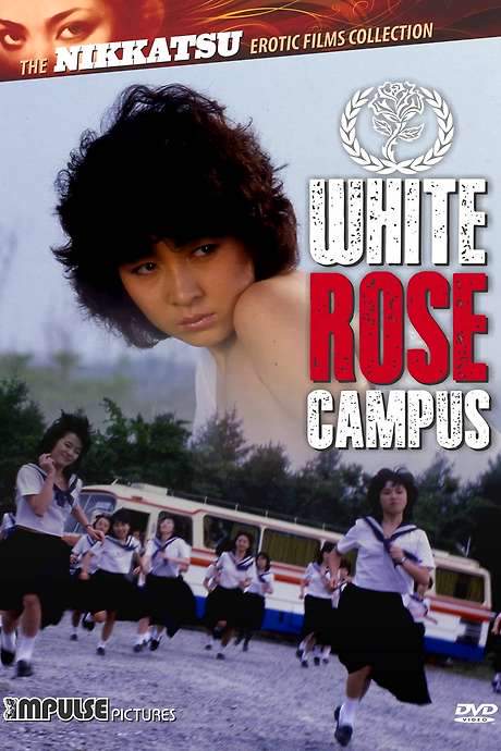 White Rose Campus (1982) movie poster