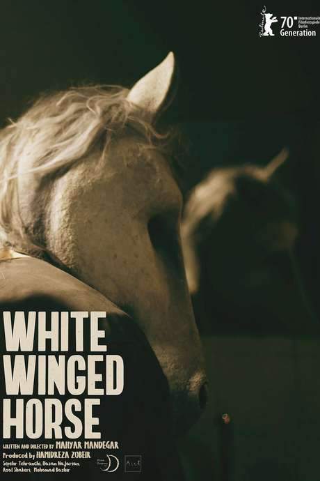 White Winged Horse (2020) movie poster