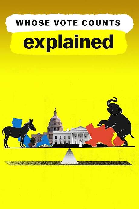 Whose Vote Counts, Explained (2020) movie poster