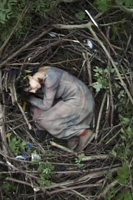 Why Not a Sparrow (2003) movie poster