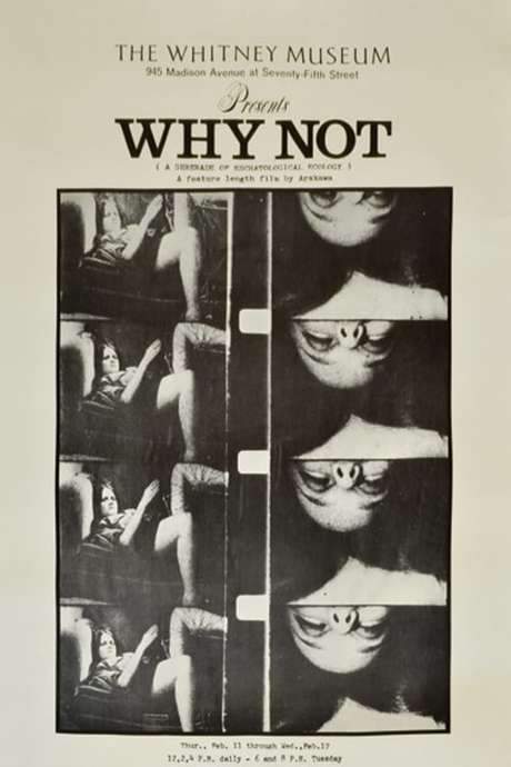 Why Not: A Serenade of Eschatological Ecology (1970) movie poster