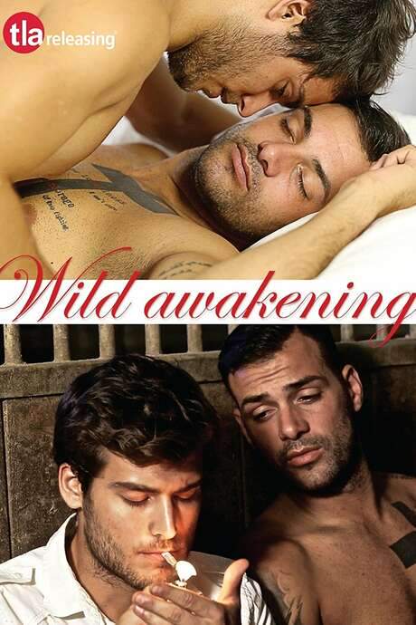 Wild Awakening (2016) movie poster