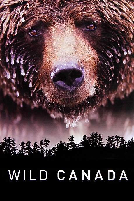 Wild Canada (2014) movie poster