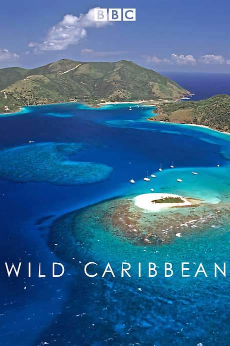 Wild Caribbean (2007) movie poster