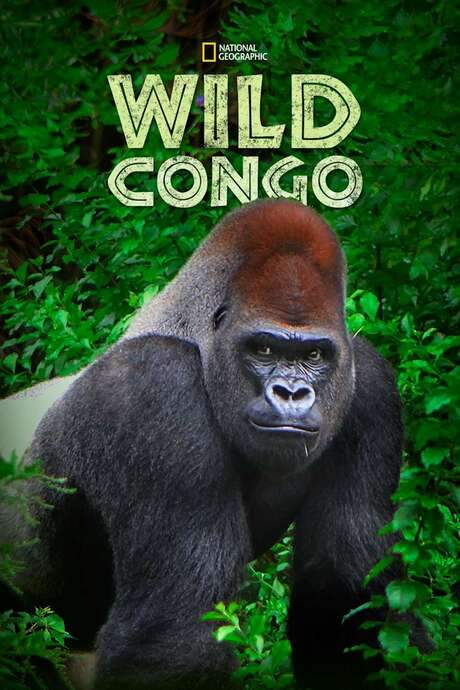 Wild Congo (2014) movie poster