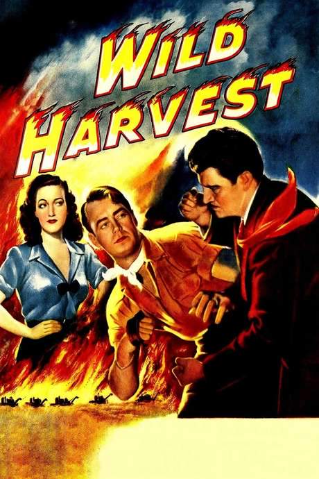 Wild Harvest (1947) movie poster