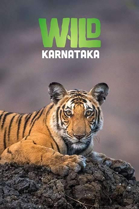 Wild Karnataka (2019) movie poster