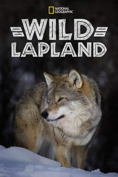 Wild Lapland (2020) movie poster