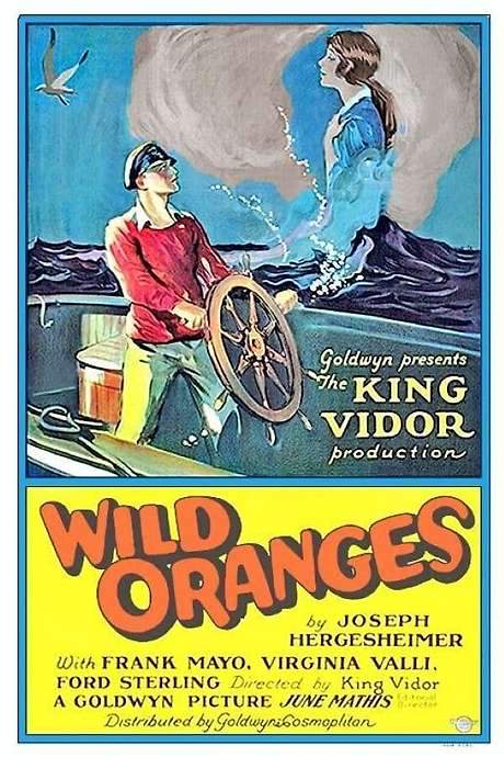 Wild Oranges (1924) movie poster