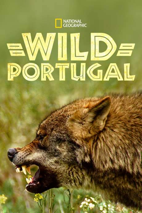 Wild Portugal (2020) movie poster