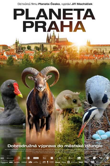 Wild Prague (2022) movie poster
