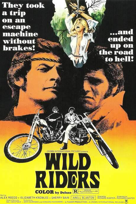 Wild Riders (1971) movie poster