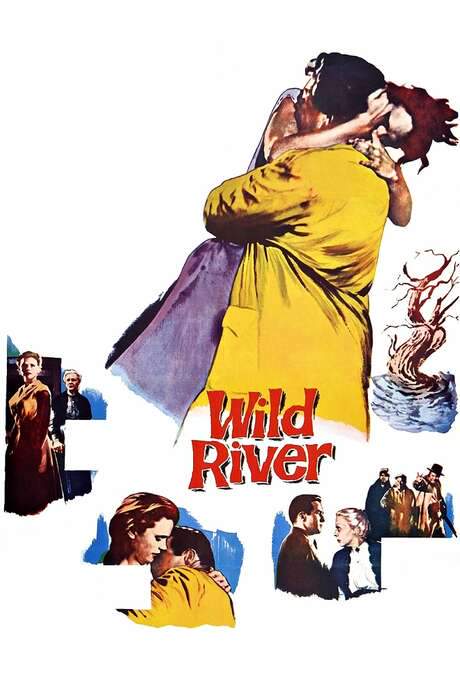 Wild River (1960) movie poster