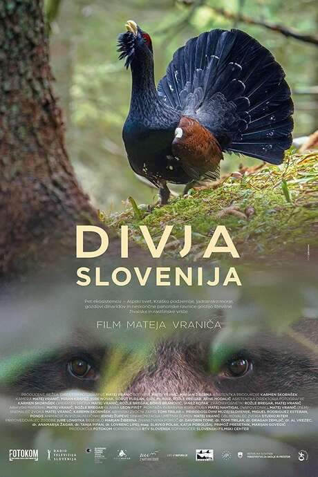 Wild Slovenia (2021) movie poster