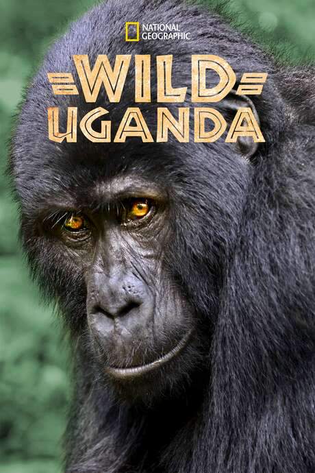 Wild Uganda (2018) movie poster
