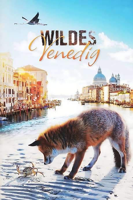 Wild Venice (2014) movie poster