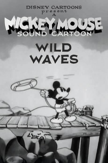 Wild Waves (1929) movie poster