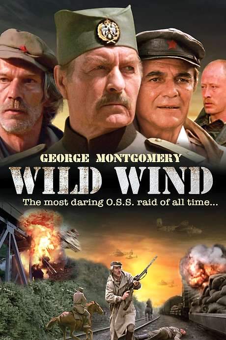 Wild Wind (1985) movie poster