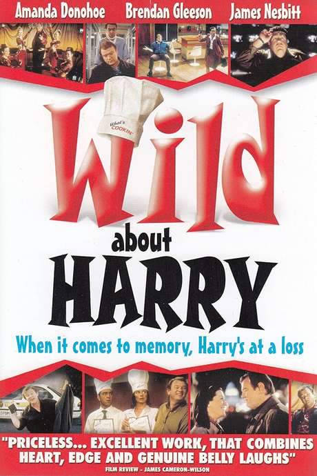 Wild About Harry (2000) movie poster