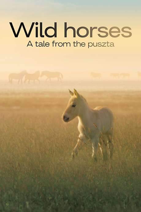 Wild Horses - A Tale From The Puszta (2021) movie poster