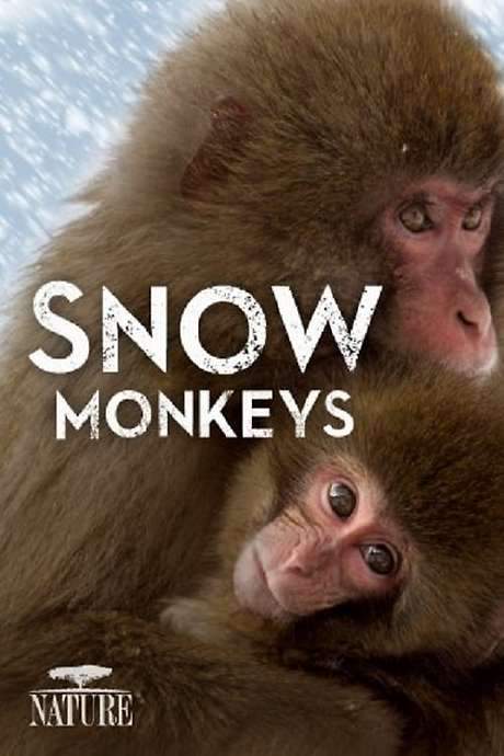 Wild Japan: Snow Monkeys (2014) movie poster