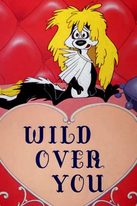 Wild Over You (1953) movie poster