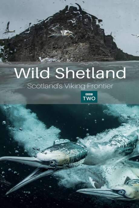 Wild Shetland: Scotland’s Viking Frontier (2019) movie poster