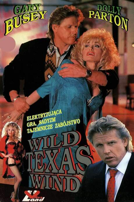 Wild Texas Wind (1991) movie poster