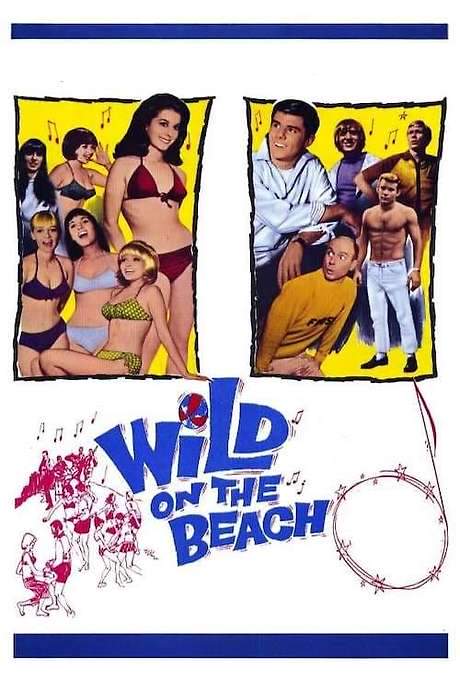 Wild on the Beach (1965) movie poster