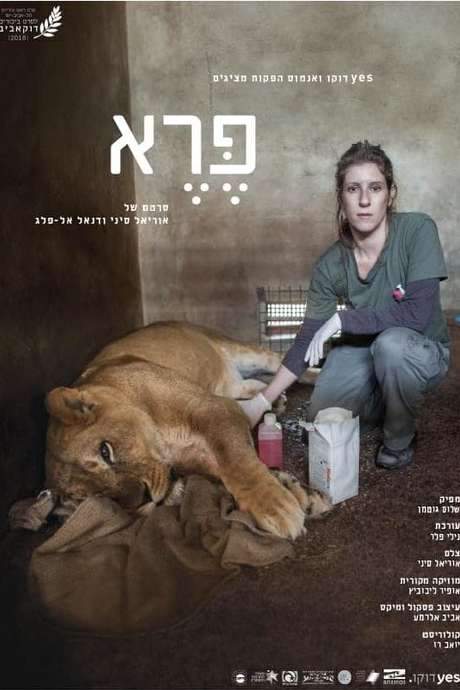 Wild: Life, Death and Love in a Wildlife Hospital (2018) movie poster
