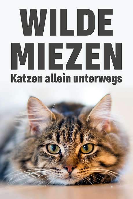 Wilde Miezen - Katzen allein unterwegs (2017) movie poster