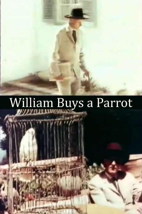 William Buys a Parrot (1963) movie poster