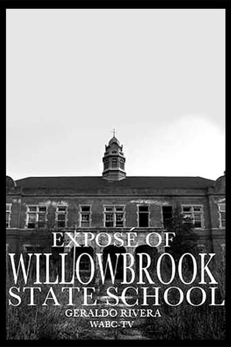 Willowbrook: The Last Great Disgrace (1972) movie poster