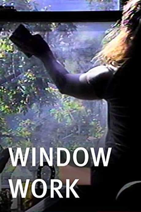 Window Work (2000) movie poster