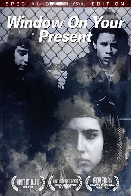 Window on Your Present (2010) movie poster