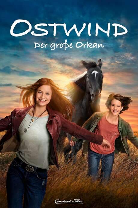 Windstorm: The Great Hurricane (2021) movie poster