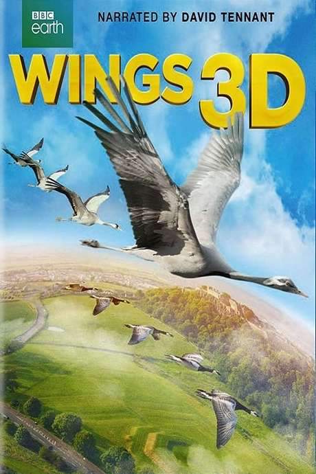 Wings 3D (2014) movie poster