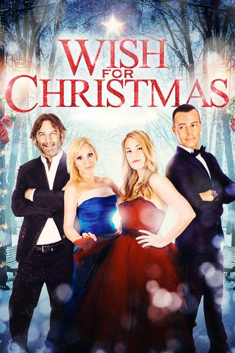 Wish for Christmas (2016) movie poster
