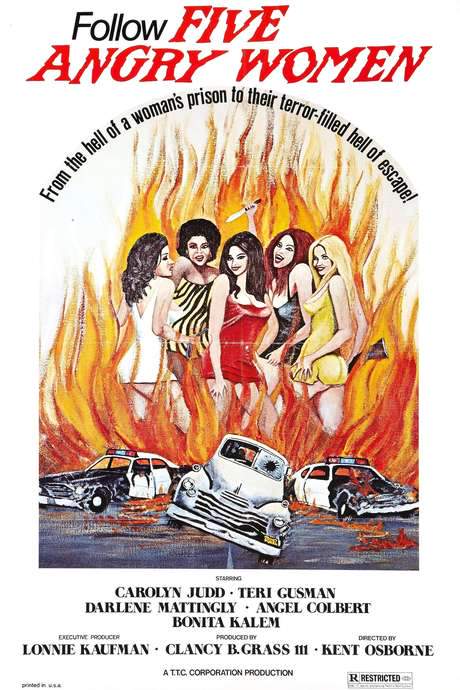 Women Unchained (1974) movie poster