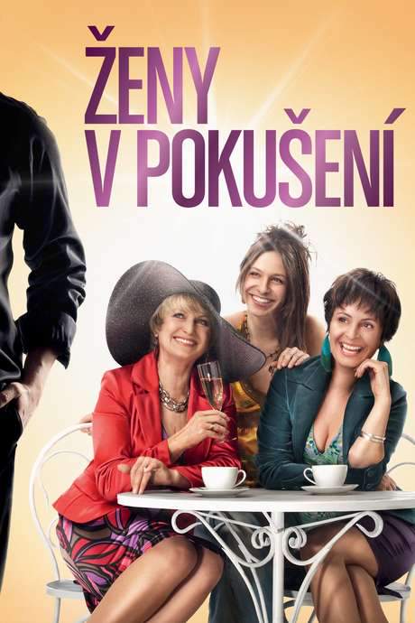 Women in Temptation (2010) movie poster