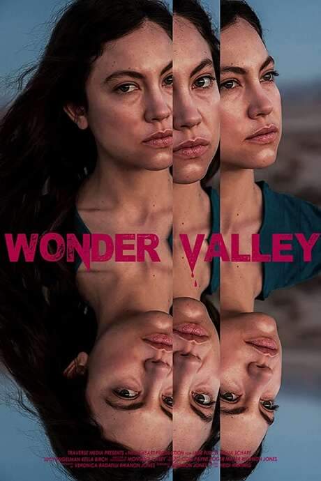 Wonder Valley (2020) movie poster