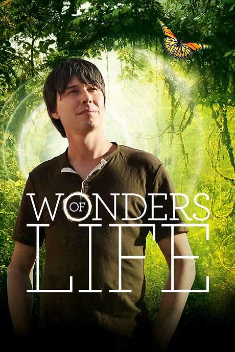 Wonders of Life (2013) movie poster