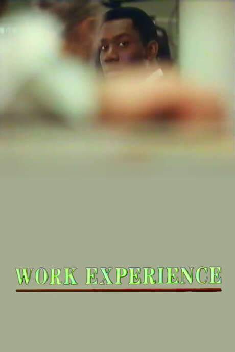 Work Experience (1989) movie poster