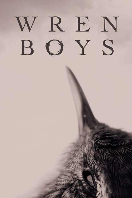 Wren Boys (2017) movie poster