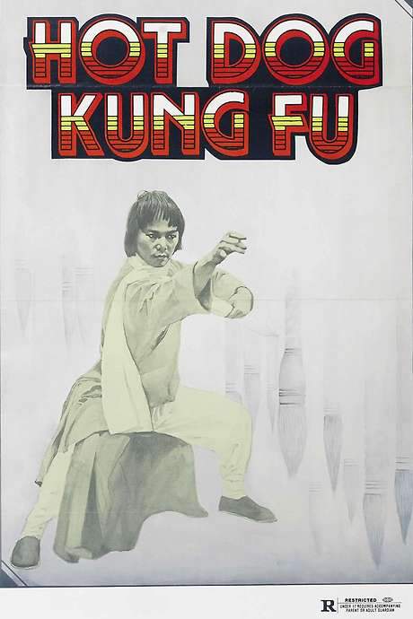 Writing Kung Fu (1979) movie poster