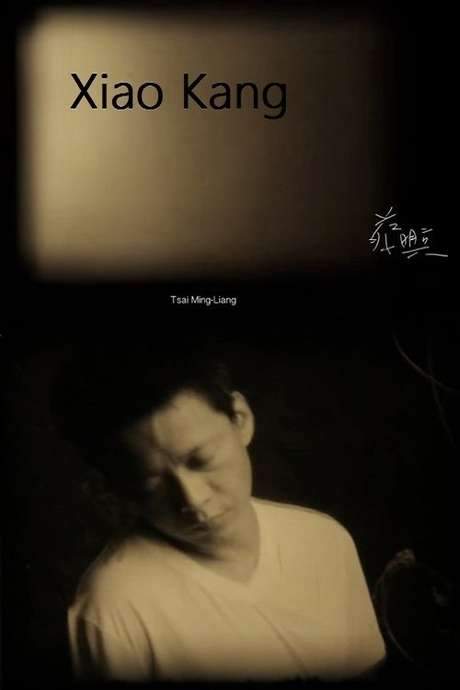 Xiao Kang (2015) movie poster