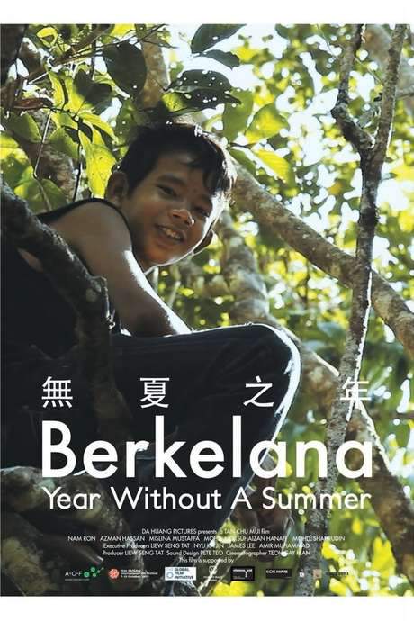 Year Without a Summer (2010) movie poster