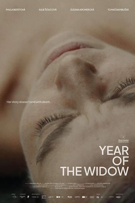 Year of the Widow (2024) movie poster