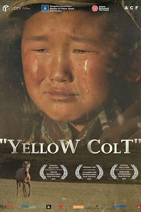 Yellow Colt (2014) movie poster