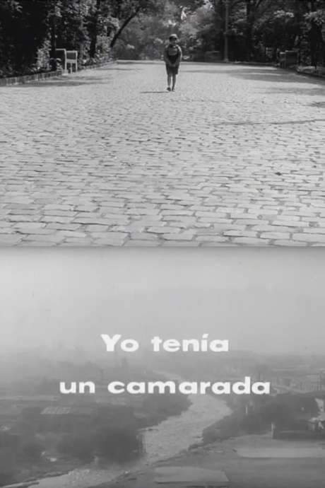 Yo tenía un camarada (1964) movie poster